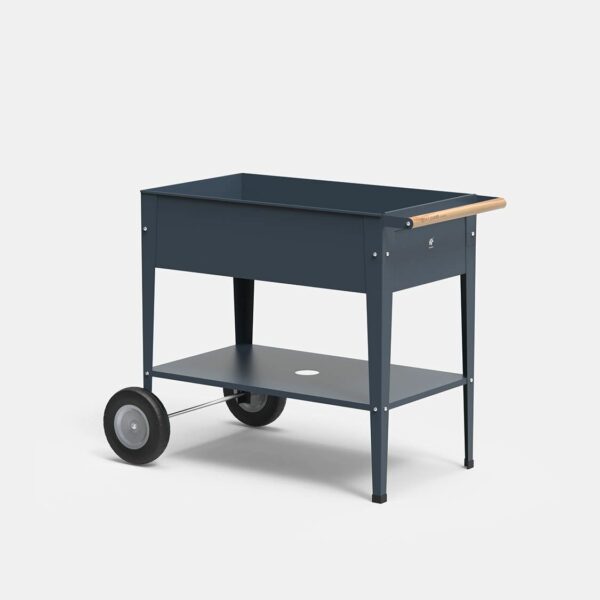 TROLLEY MAX - Imagen 1