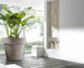 VASO STANDARD - Imagen 2