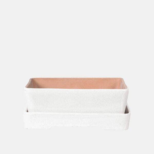 BONSAI NAKA + PLATO – Image 1