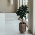 CAMPANA ATLANTA ALTA - Imagen 2