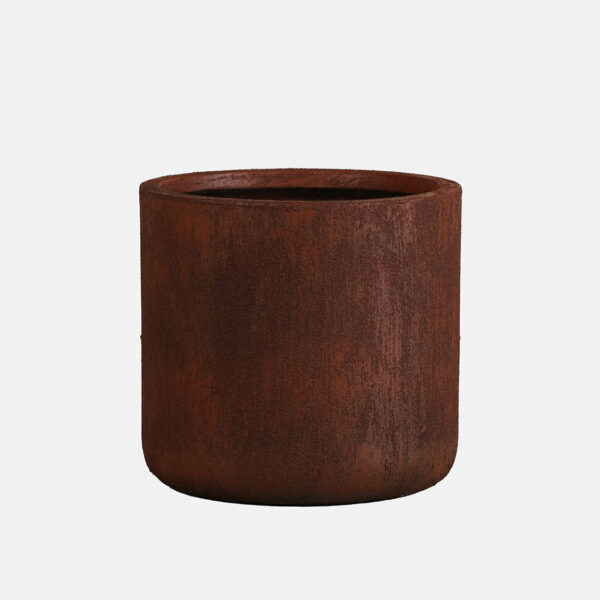 CAMPANA REMIS - Imagen 1