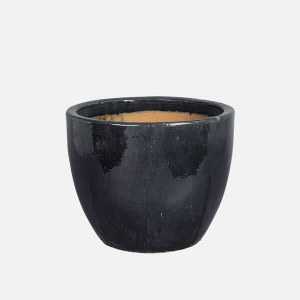 CAMPANA ORIENT - Imagen 1