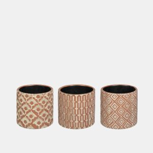 BOX CACTUS MADISON (12 PCS)