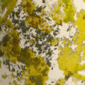 SPONGE - Image 4