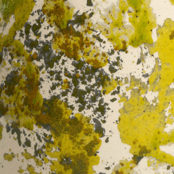 SPONGE - Image 4