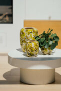 SPONGE - Image 3