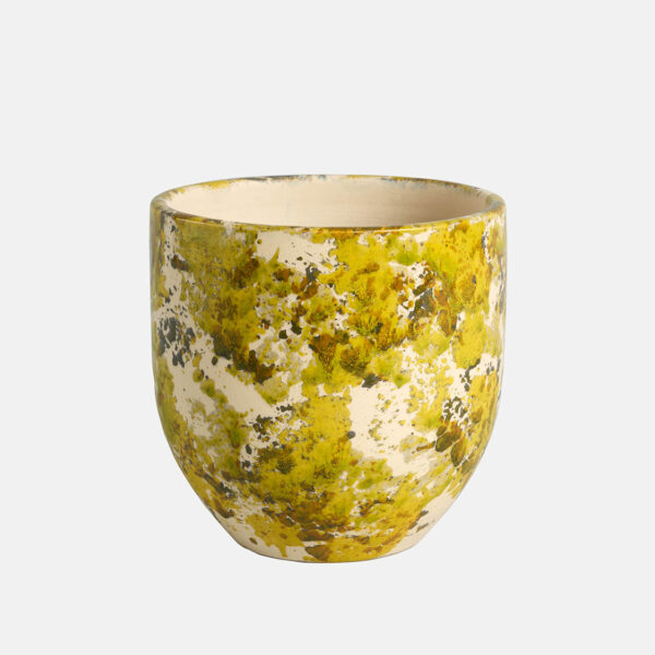 SPONGE - Image 1