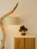 ANDRIA - Image 2