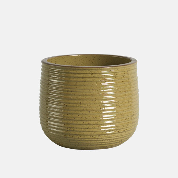 FIYI - Image 1