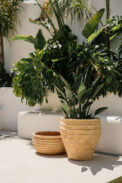 CAMPANA ANTIC TERRACOTA - Imagen 2