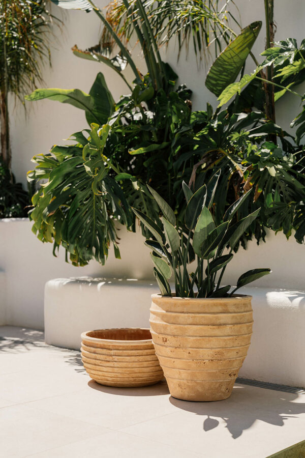CAMPANA ANTIC TERRACOTA - Imagen 2