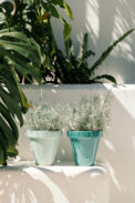 STANDARD - Imagen 2