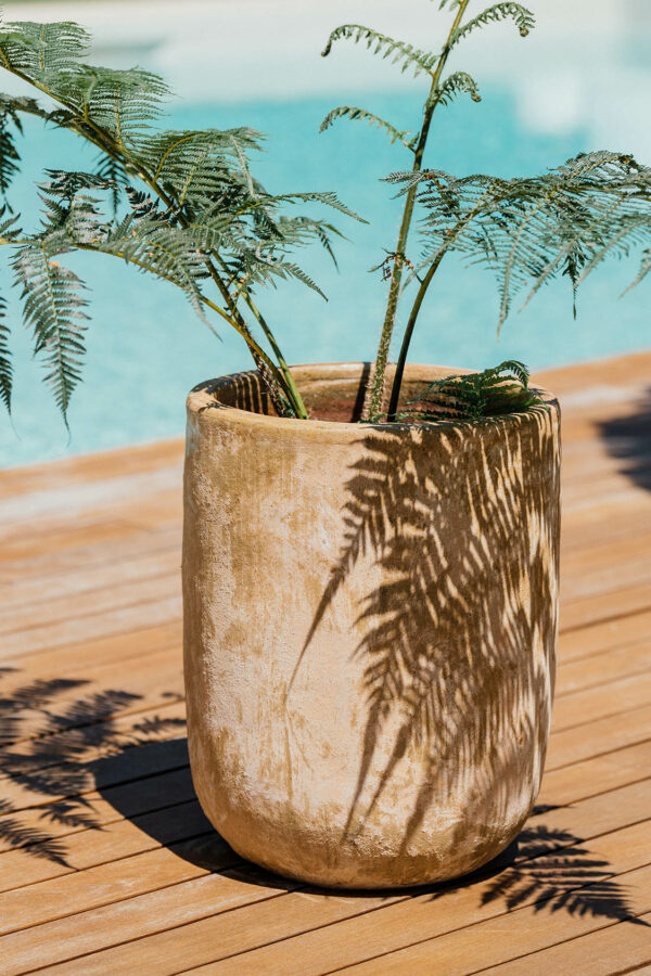 CAMPANA ALTA BANJUL – Image 2