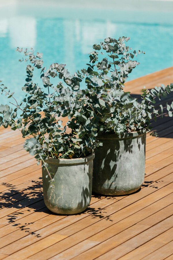 CAMPANA PRAIA - Image 2