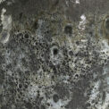 CAMPANA TRIPOLI – Image 8