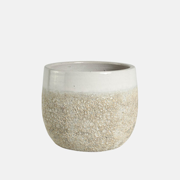 CAMPANA TRIPOLI – Image 1