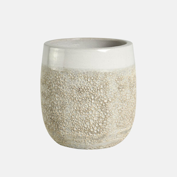 CAMPANA ALTA TRIPOLI - Image 1