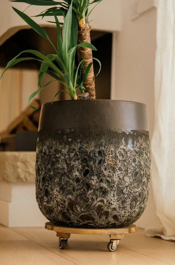 CAMPANA ALTA TRIPOLI - Image 4