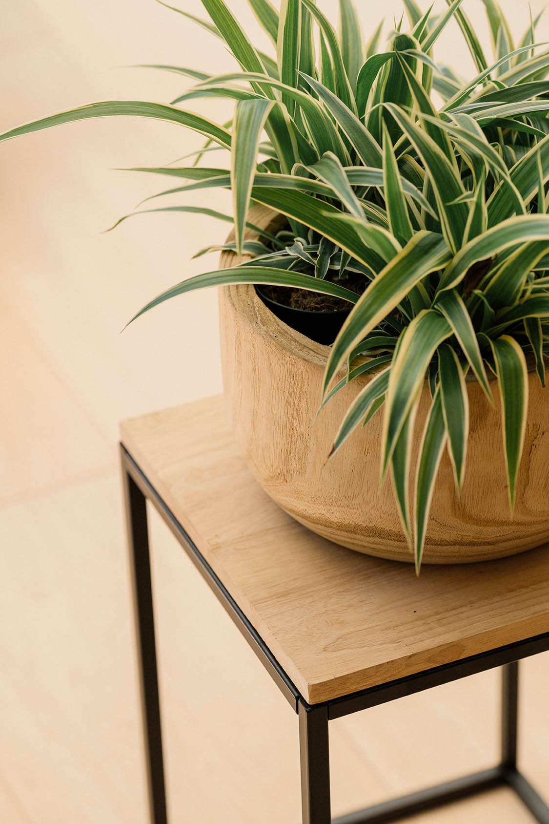 15645038-007 BASE METAL/MADERA CUBO - Image 3