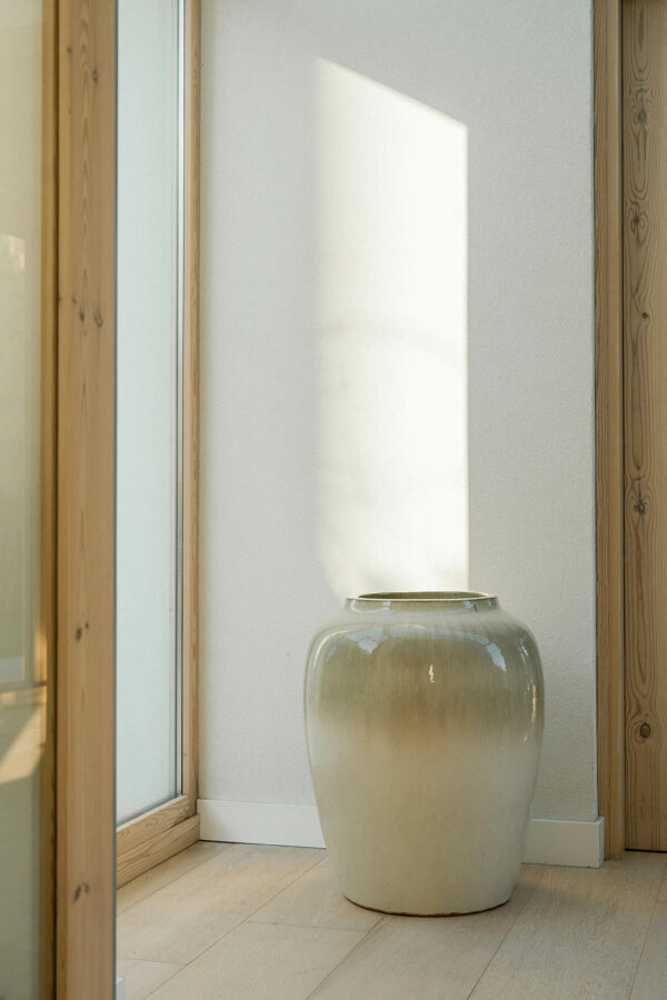 TINAJA JIN – Image 2
