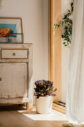 PIRAN - Image 3
