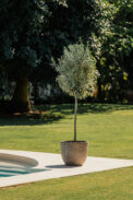 CAMPANA ANTIC GLAZED – Image 2