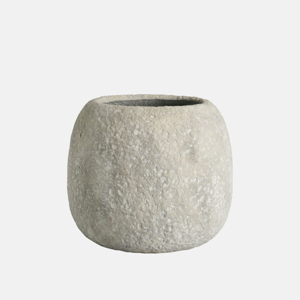 SAVONA – Image 1