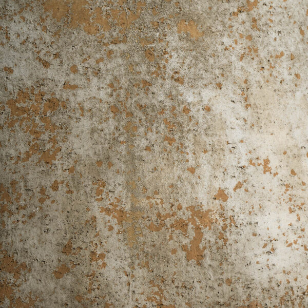 BRELA – Image 3
