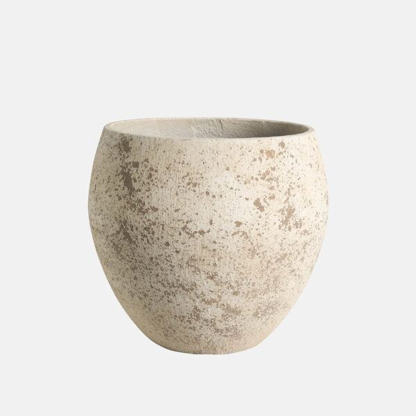 CAMPANA SALERNO - Image 1
