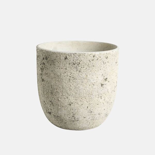 CAMPANA SANREMO – Image 1