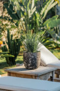 CAMPANA SANREMO – Image 2