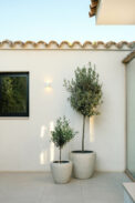 CAMPANA TINOS - Imagen 2