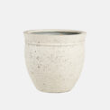 CAMPANA CORK