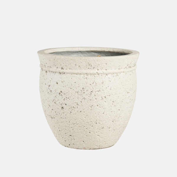 CAMPANA CORK - Image 1