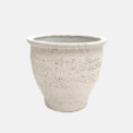 CAMPANA MOENA