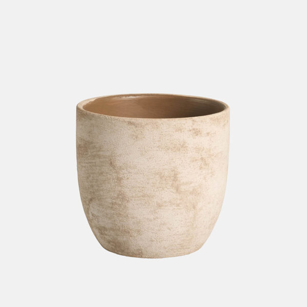 LOTUS - Image 1