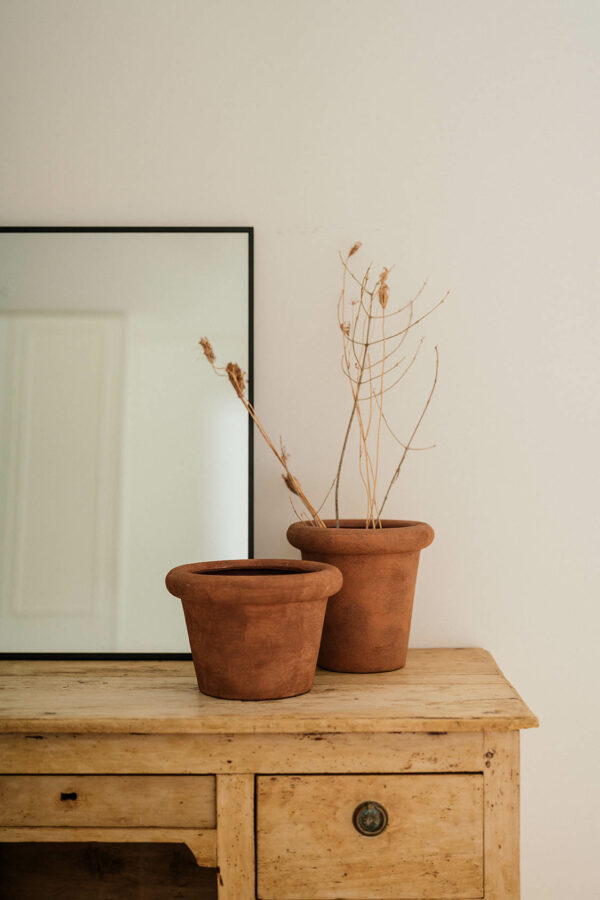 APRICOT ALTO - Image 2