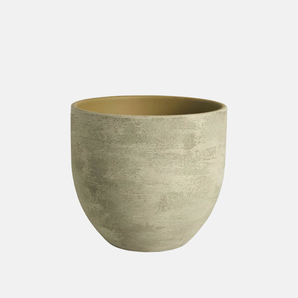 PARMA – Image 1