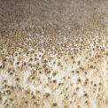 GORAL - Imagen 6