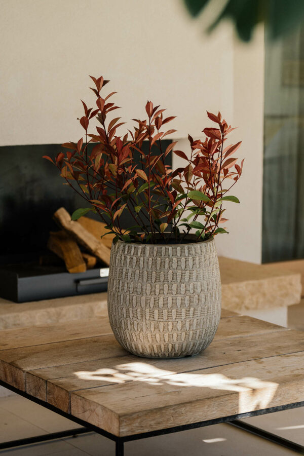 CAMPANA BASILAN - Imagen 2