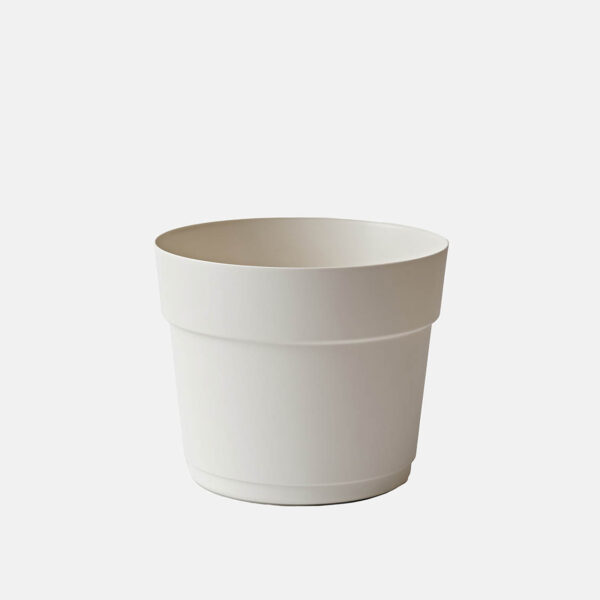 BLOOM – Image 1