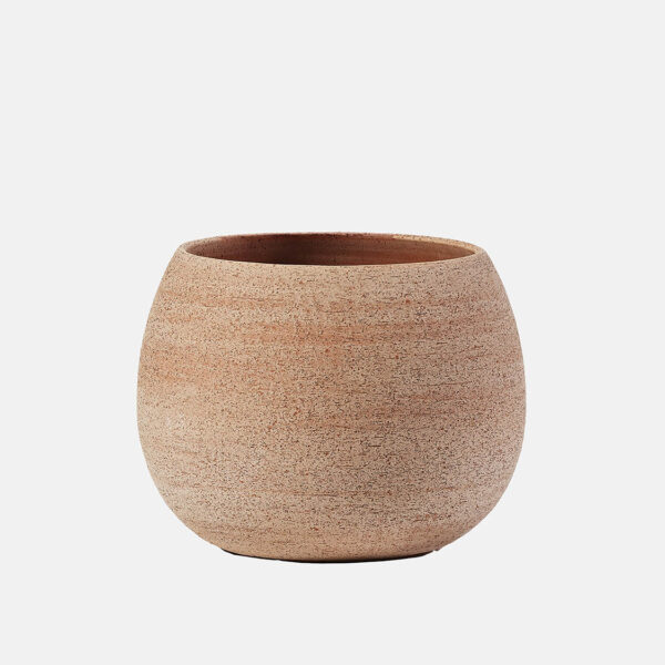 ERASMO - Image 1