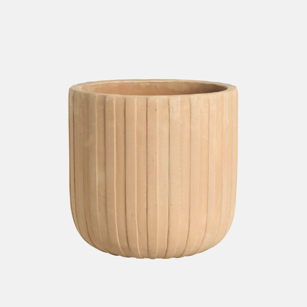 CAMPANA SALMA - Image 1