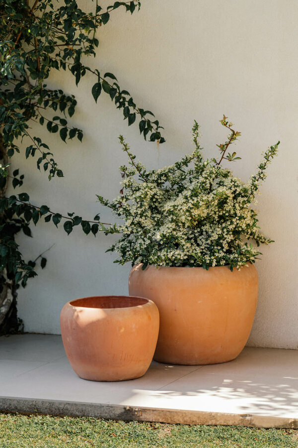 CAMPANA JULIA – Image 3