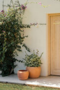 CAMPANA JULIA – Image 4