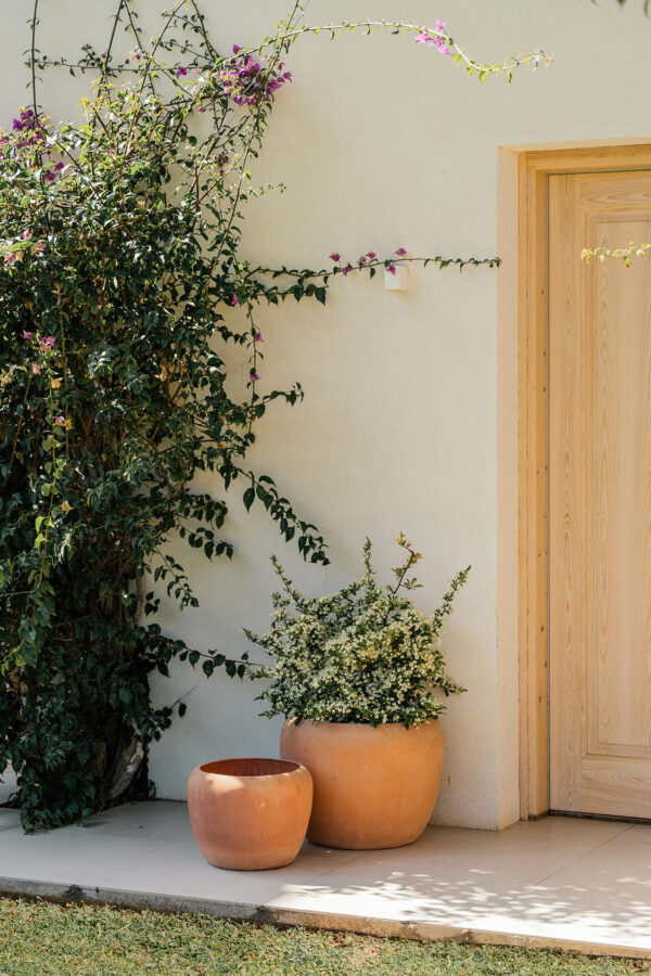 CAMPANA JULIA – Image 4