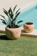 CAMPANA JULIA – Image 2