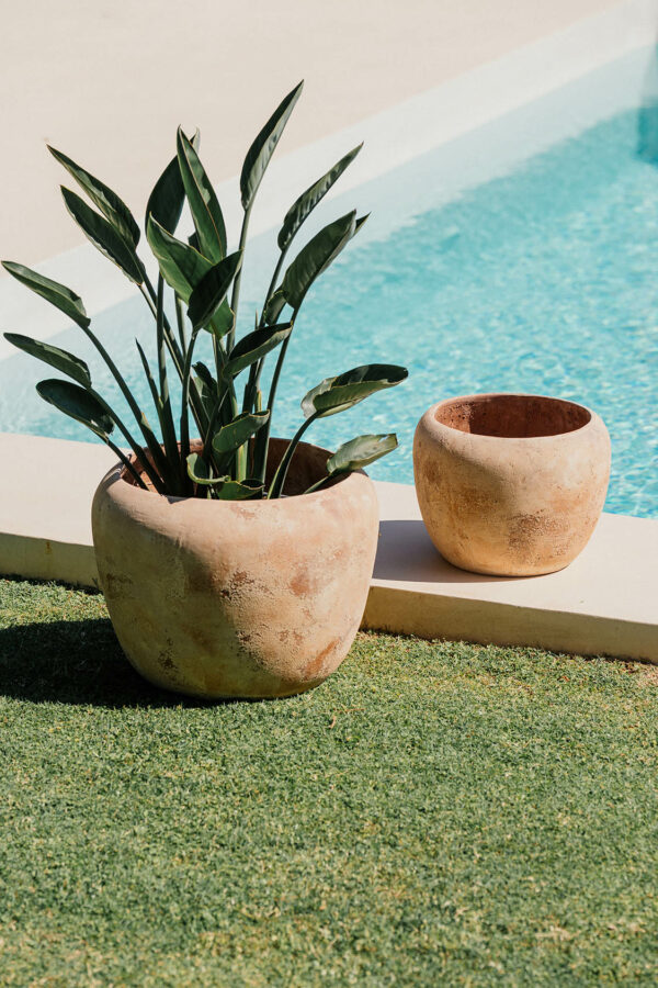 CAMPANA JULIA – Image 2
