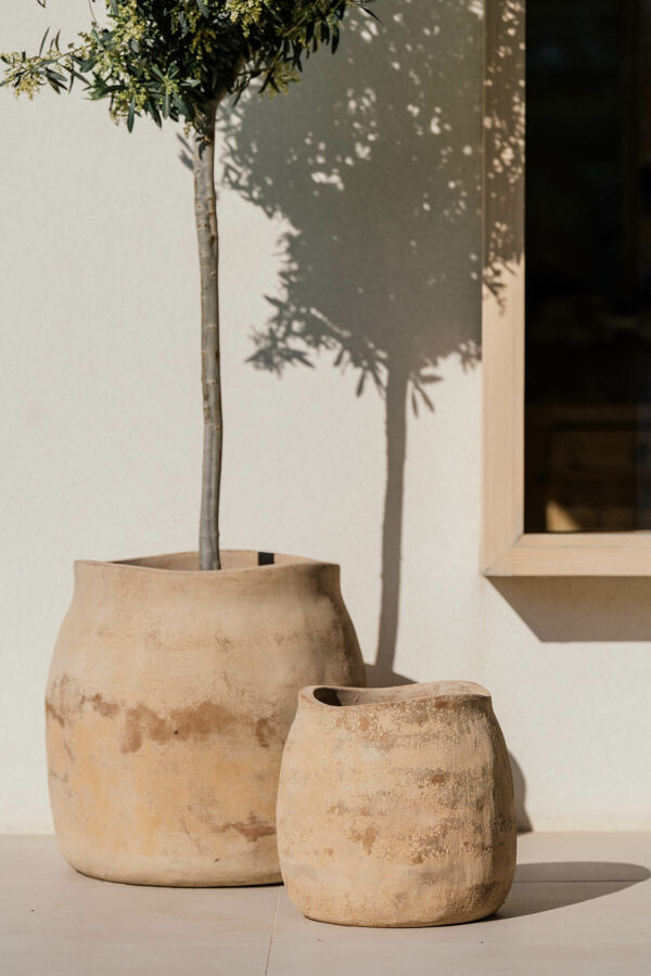 TINAJA MADI – Image 3