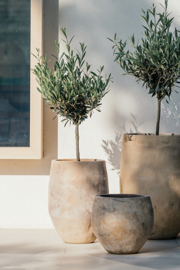CAMPANA ALTA AMEL – Image 3